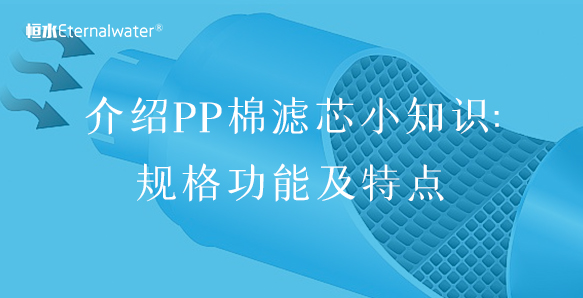 介紹PP棉濾芯小知識(shí):規(guī)格功能及特點(diǎn)